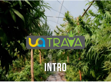 UATRAVA – бренд, ритм и культура осознанного баланса